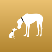 Canine Couture Grooming Salon